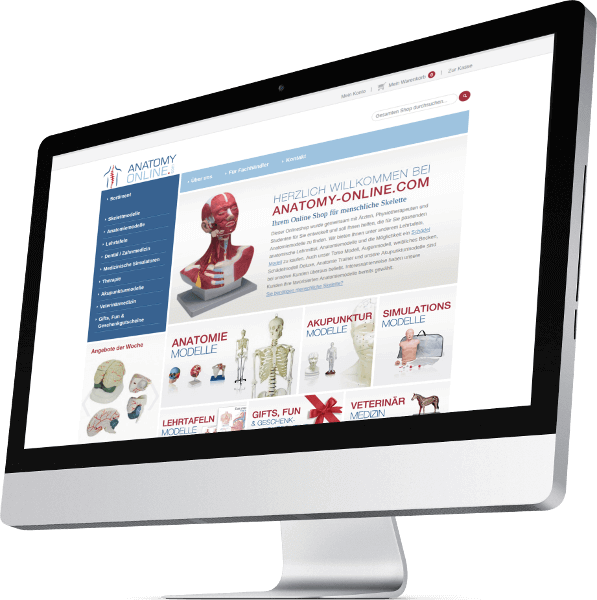 Anatomy Online - Medizinische Lehrmittel & Anatomie Modelle kaufen